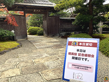 栖鳳桜 記念植樹会
