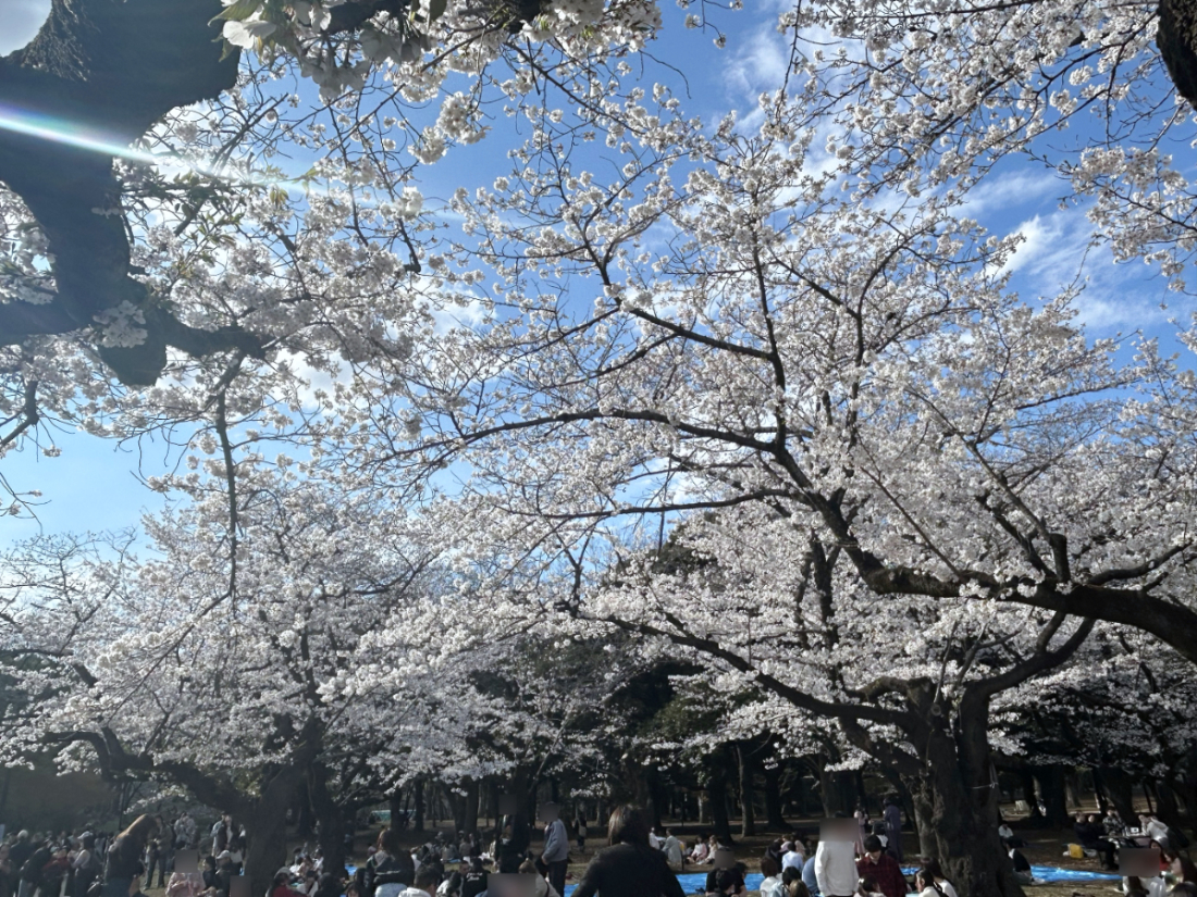0405_03.jpg