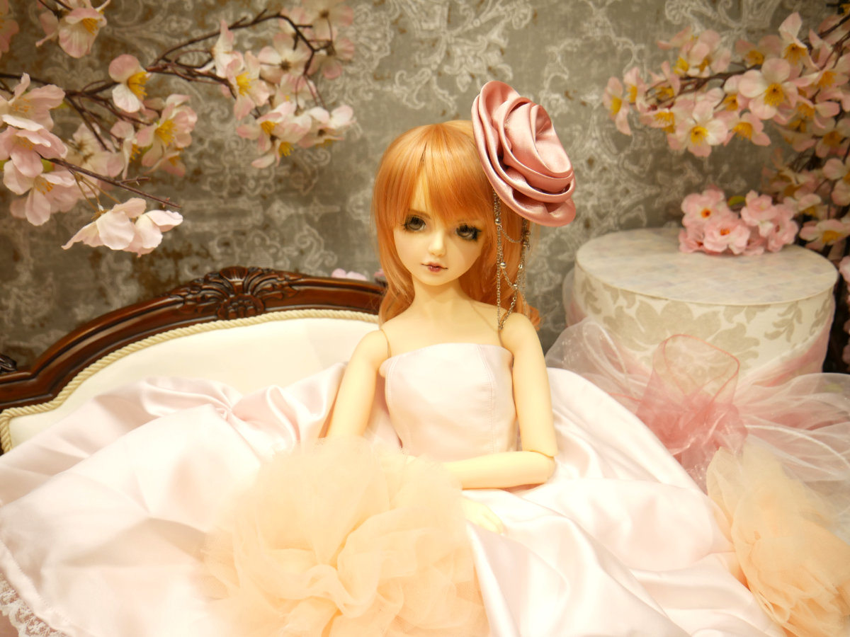 dat_0408_37.jpg