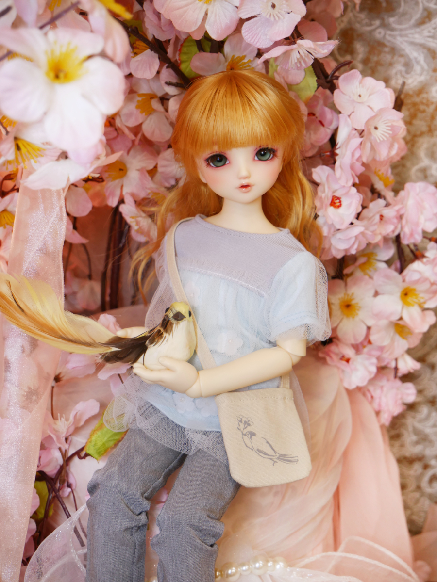 1660401.jpg