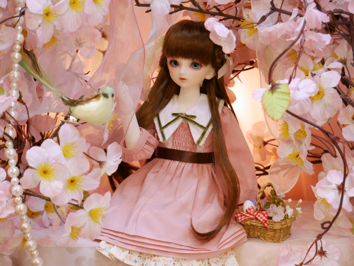 dat_0414_31.jpg
