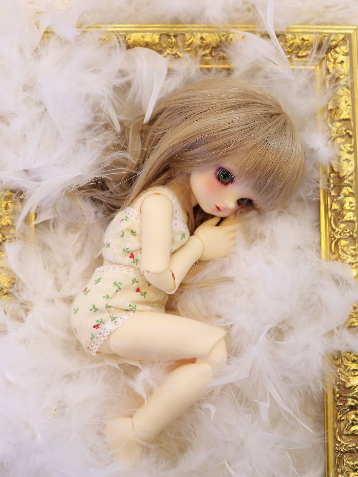 0829_01.jpg