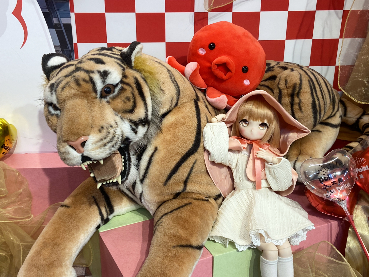 1229_06.jpg