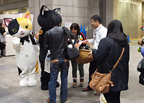 アフターレポート
