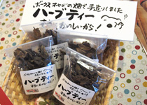 アフターレポート