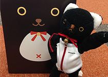 アフターレポート