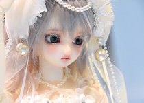 ジョイフェス5 アフターレポート