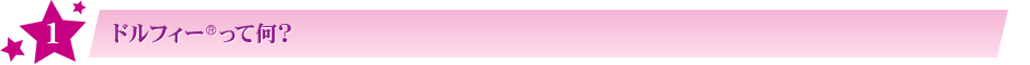 ドルフィー®って何?