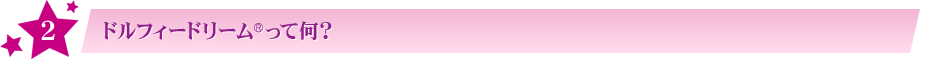その2:ドルフィードリーム®って何?